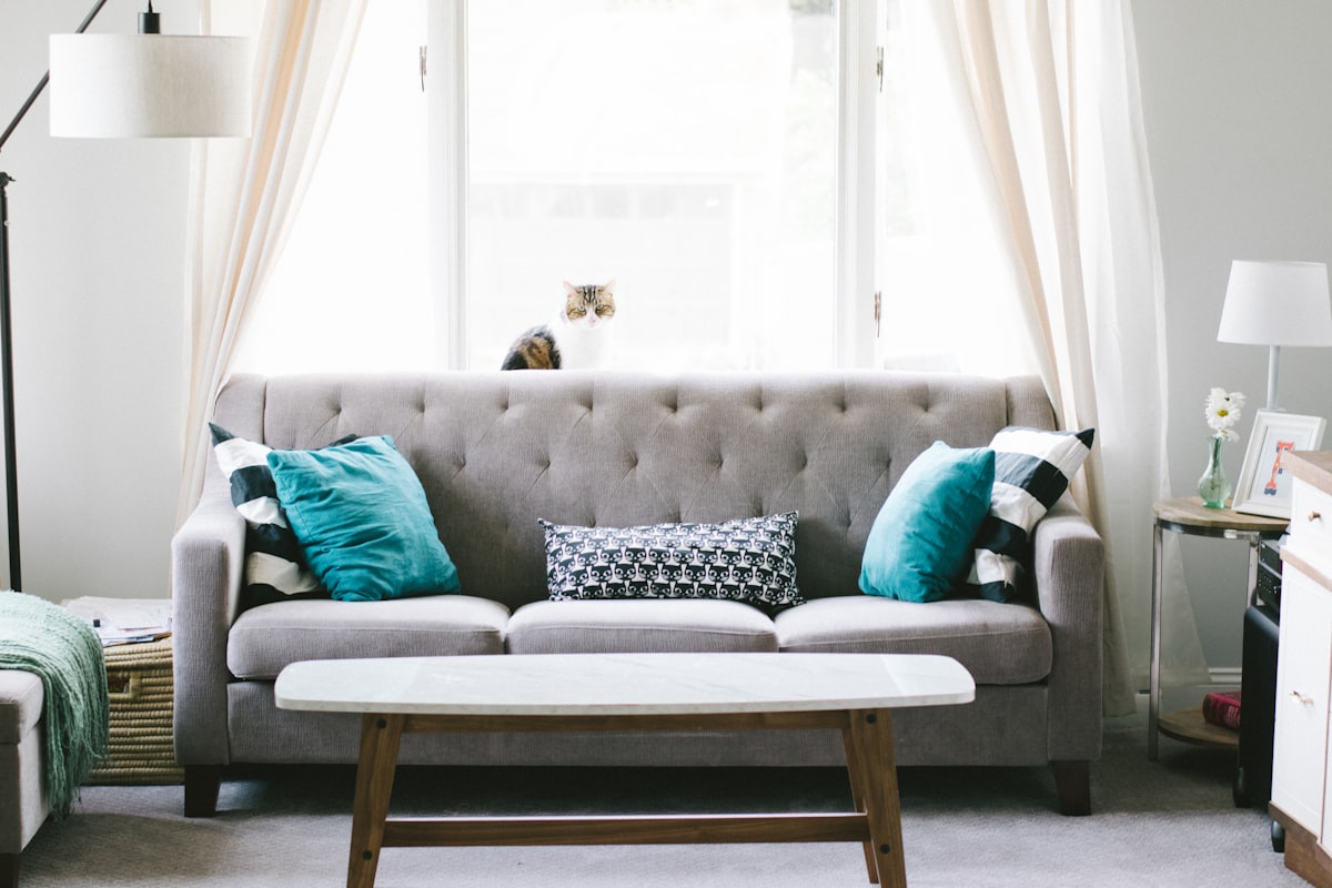 Rauchgrau Salon – Klassisch / Knopfheftung Sofa in Rauchgrau